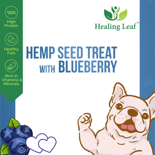 Hemp Blueberry Treat (100g) - Pet