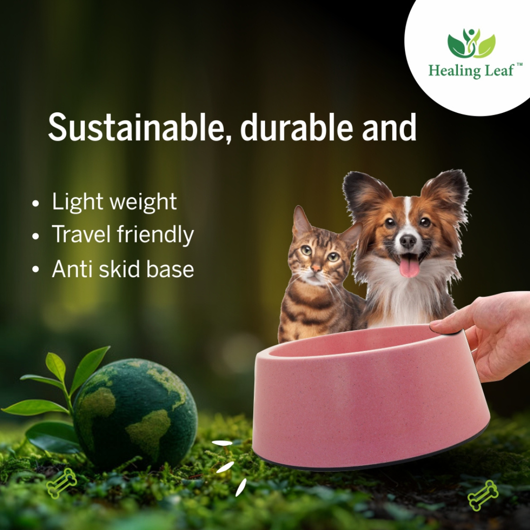 Eco-friendly Dual Bamboo Bowl For dogs and Cats