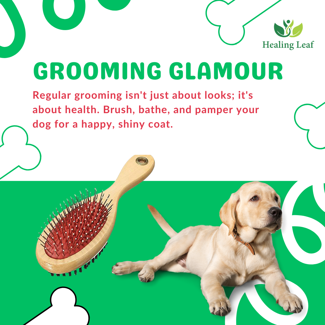 Combo of three (Hand Glove, Wooden brush & Shampoo Brush )