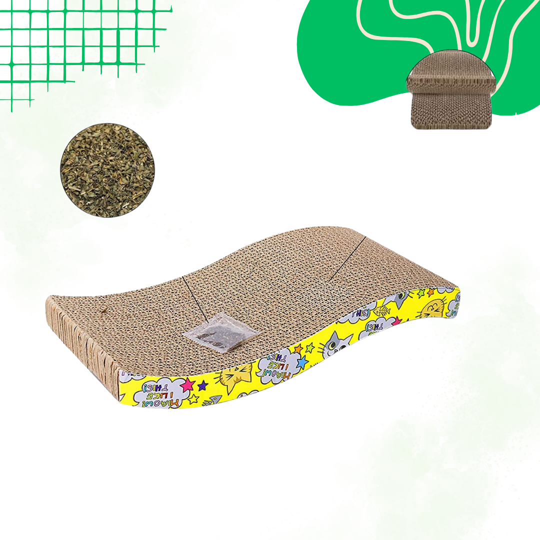 Combo of four ( slicker bush , wave scratching mat, Interactive ball and Cat dual bowl
