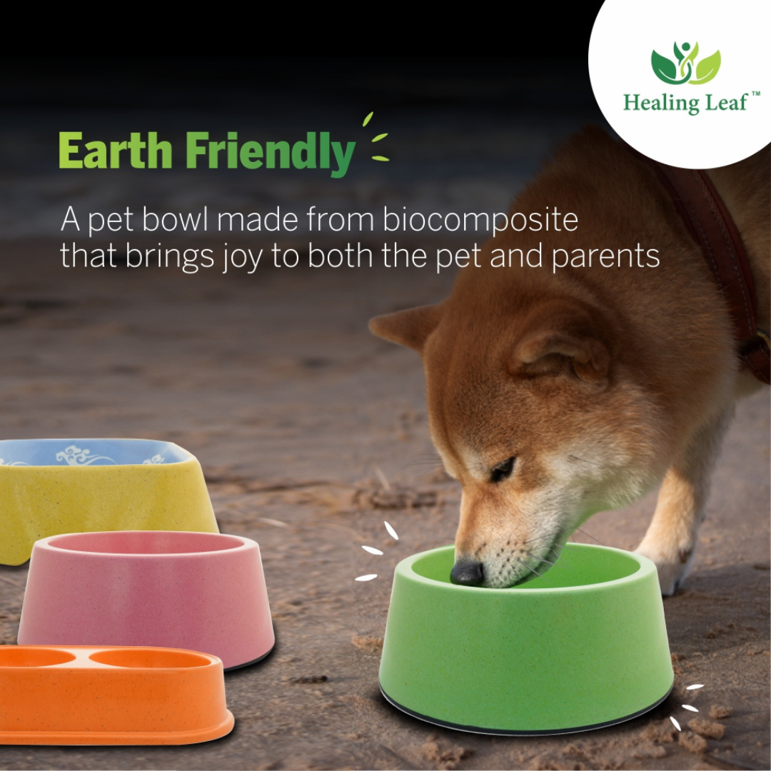 Eco-friendly Dual Bamboo Bowl For dogs and Cats