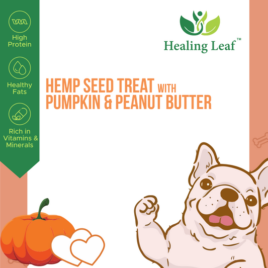 Hemp Pumpkin Treat (100g) - Pet