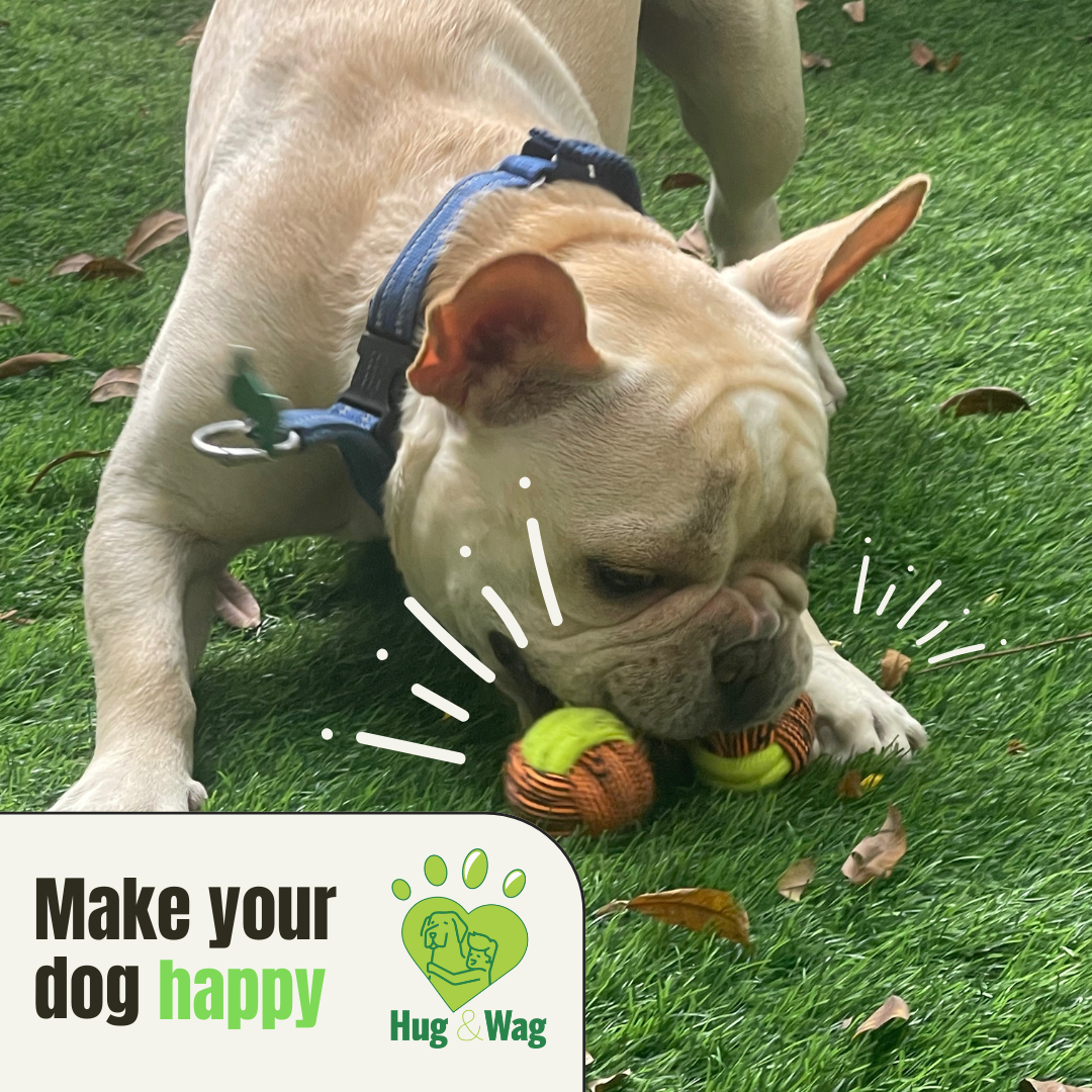 Animal Rope toy (combo of 6)