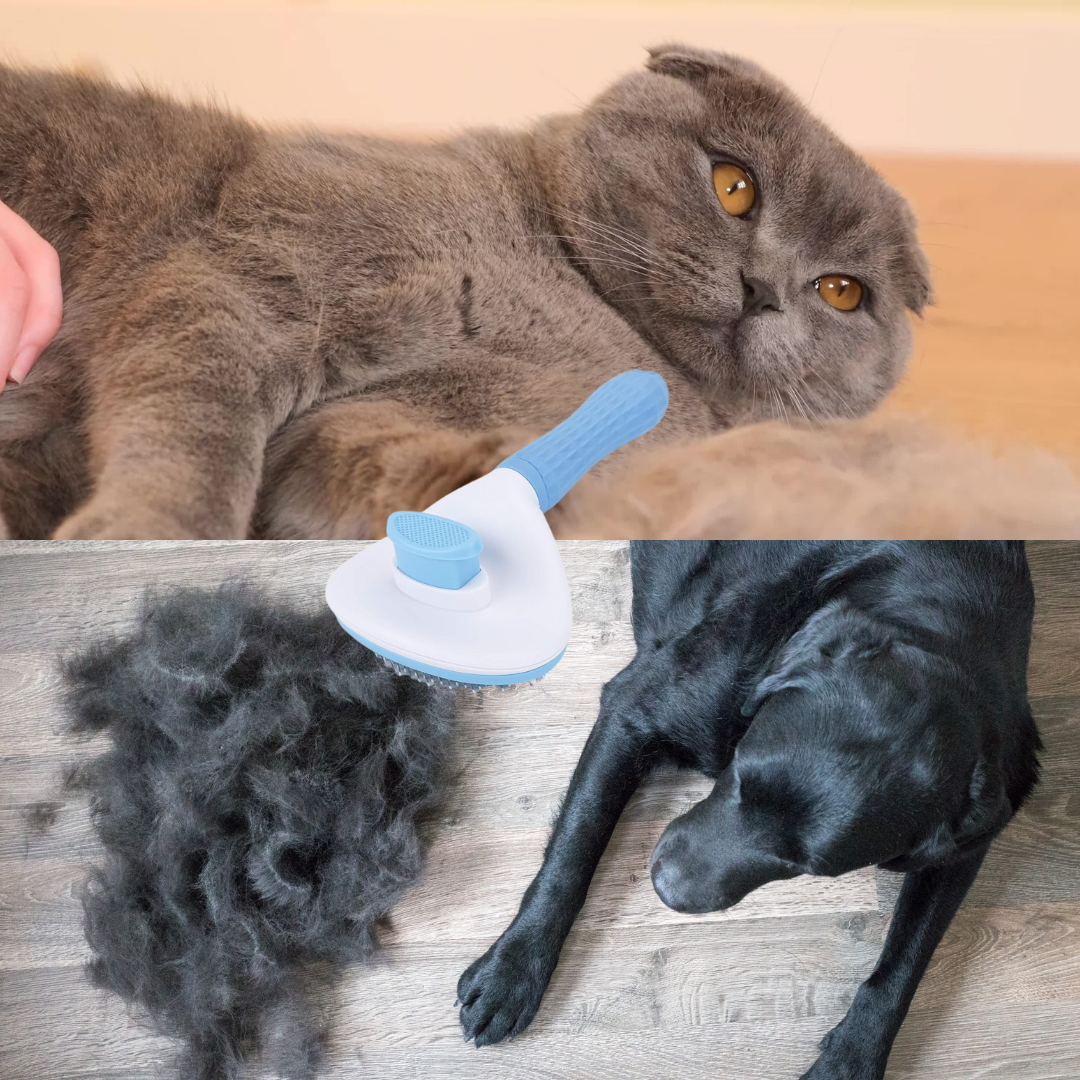Slicker Brush
