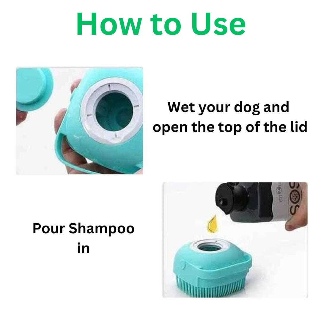 Shampoo Brush