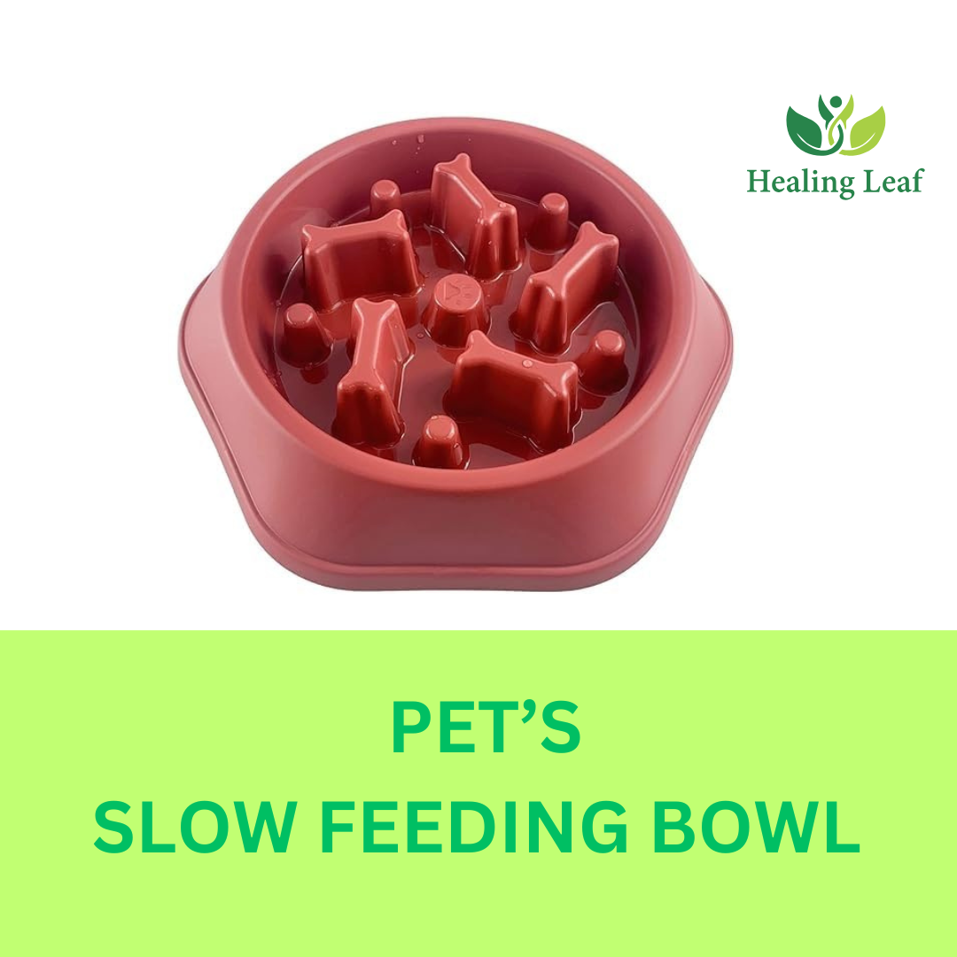 Slow feeding Bowl