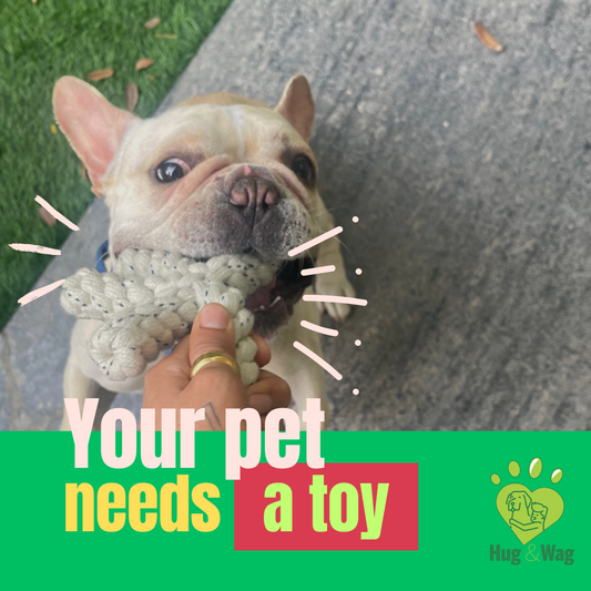 Cotton rope toys (pack of 6)