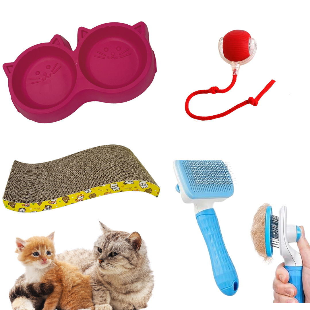 Combo of four ( slicker bush , wave scratching mat, Interactive ball and Cat dual bowl