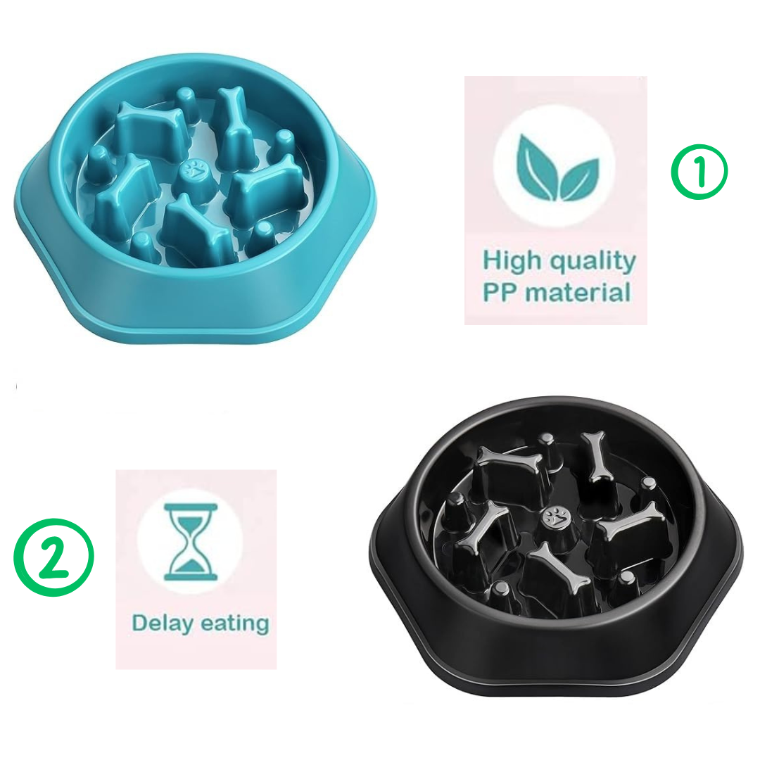 Slow feeding Bowl