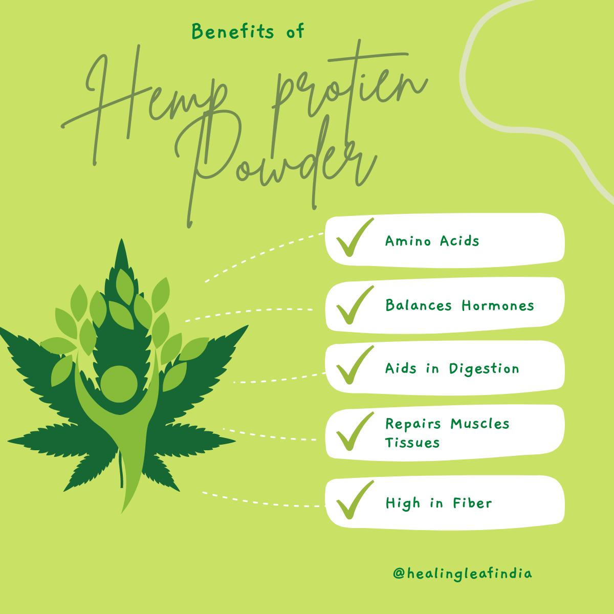 Hemp Protein Powder (100g) - Human