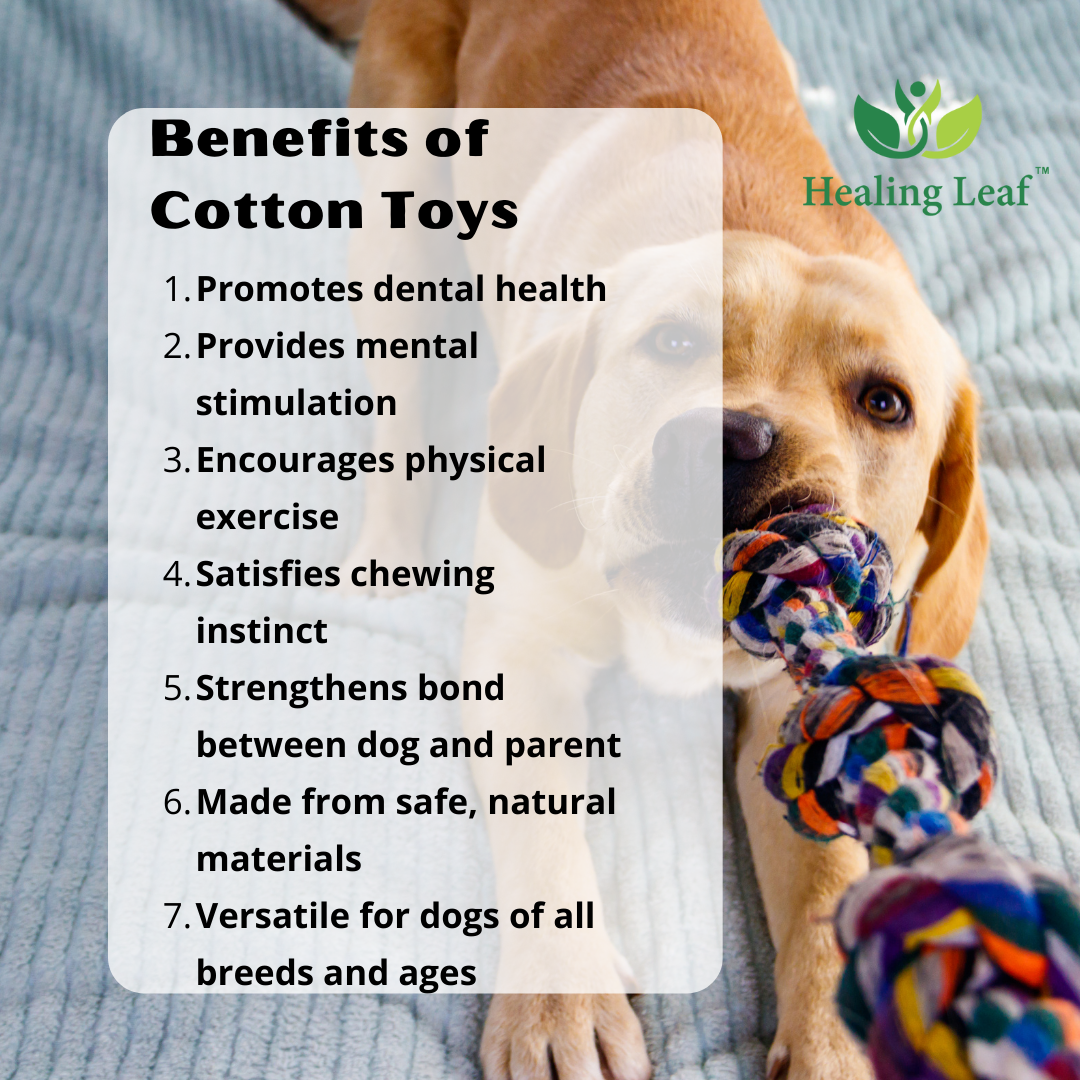 Animal Rope toy (combo of 6)