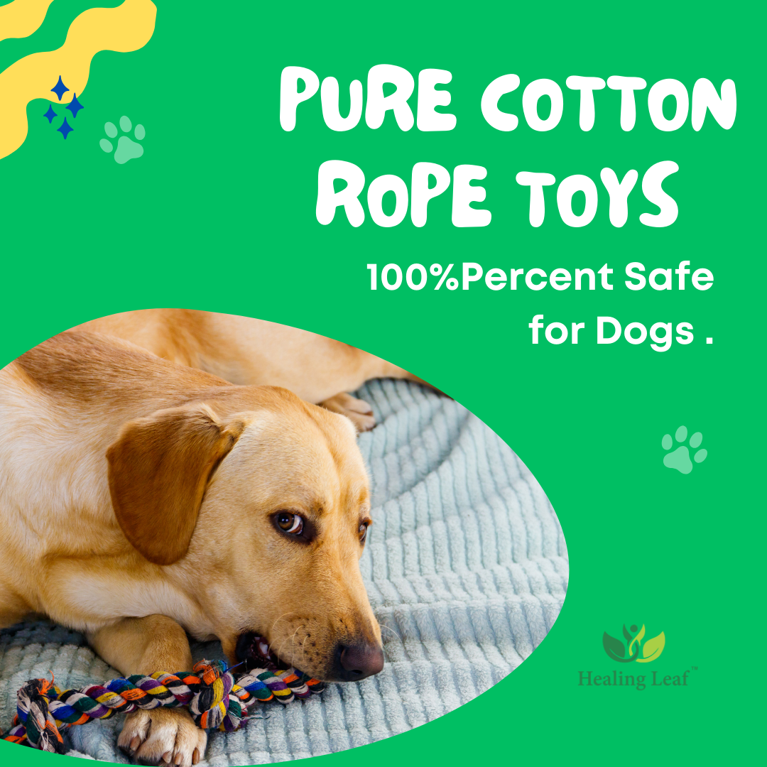 Animal Rope toy (combo of 6)