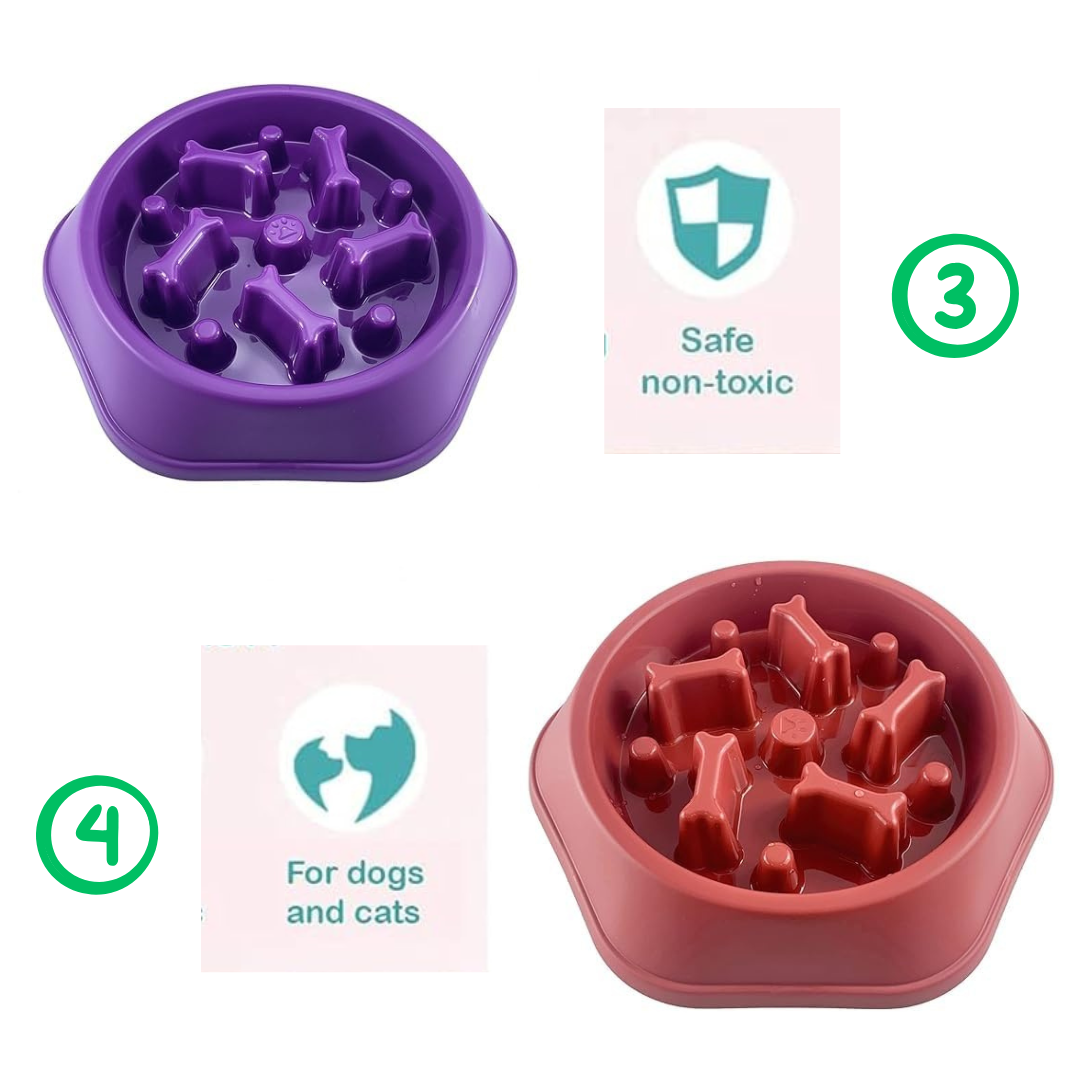 Slow feeding Bowl