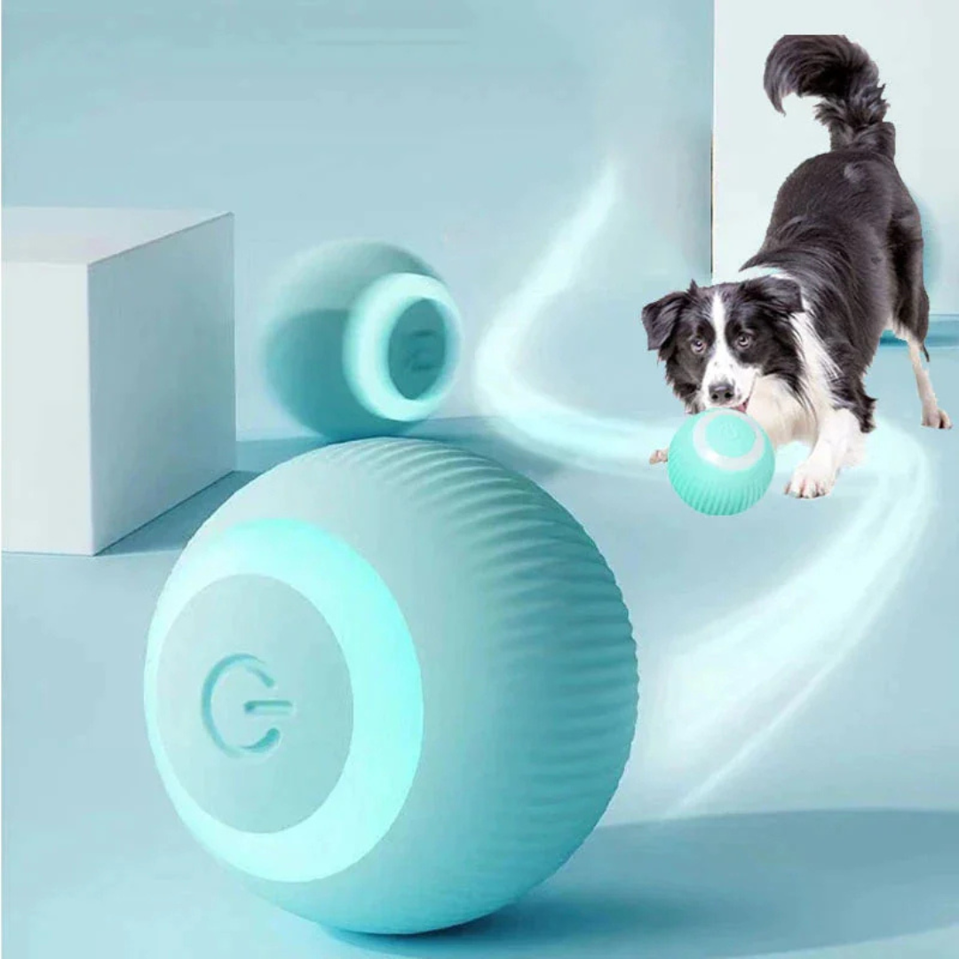 Ineractive ball