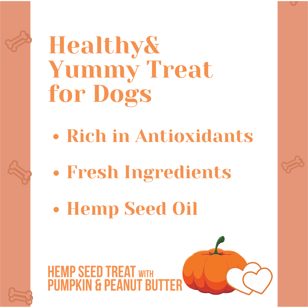 Hemp Pumpkin Treat (100g) - Pet