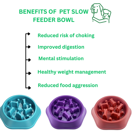 Slow feeding Bowl