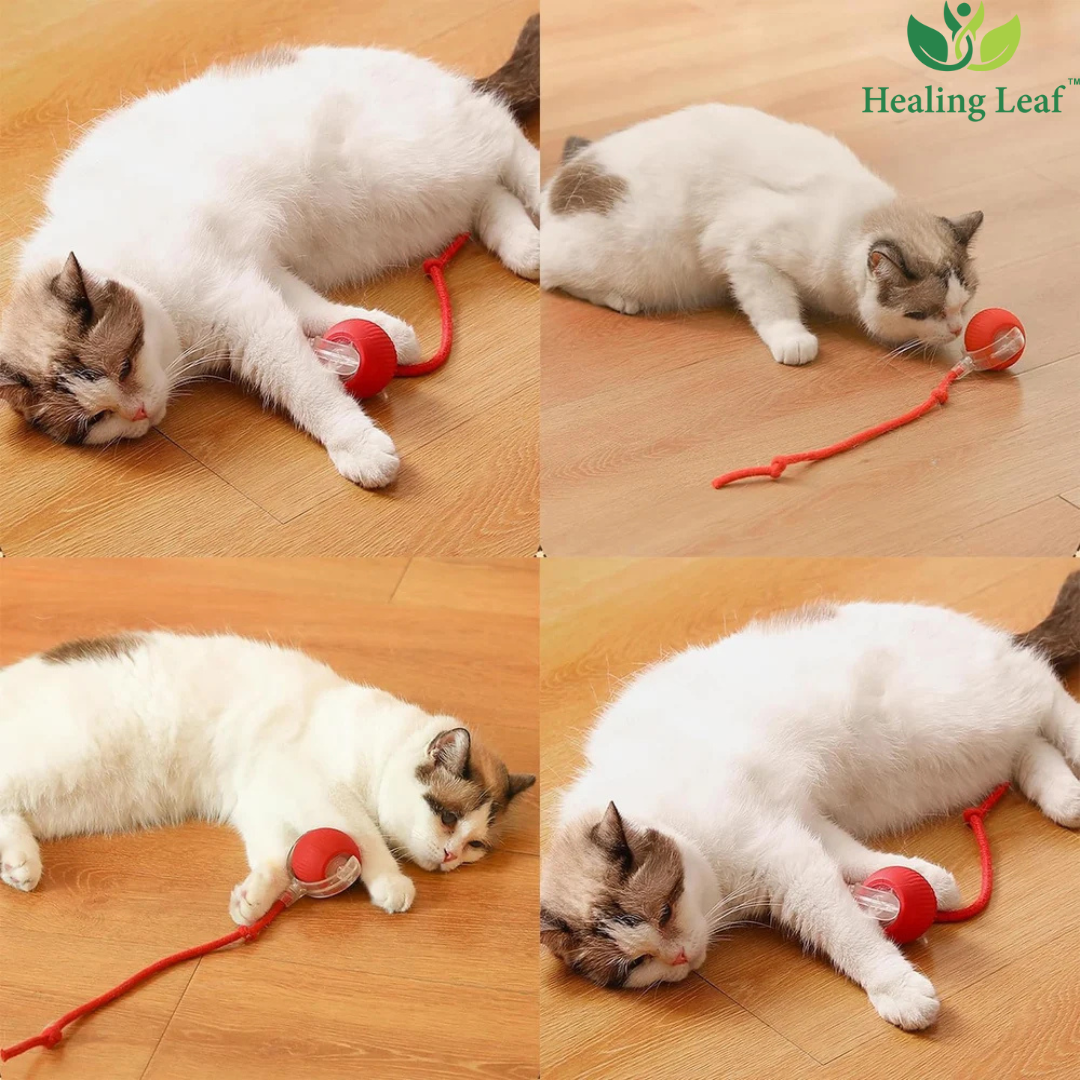 Automatic Rope Toy with thread