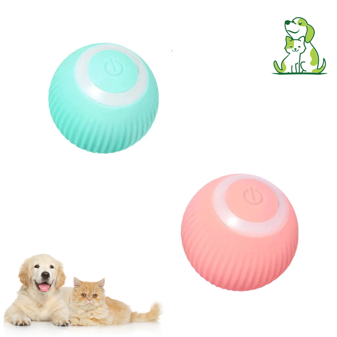 Ineractive ball