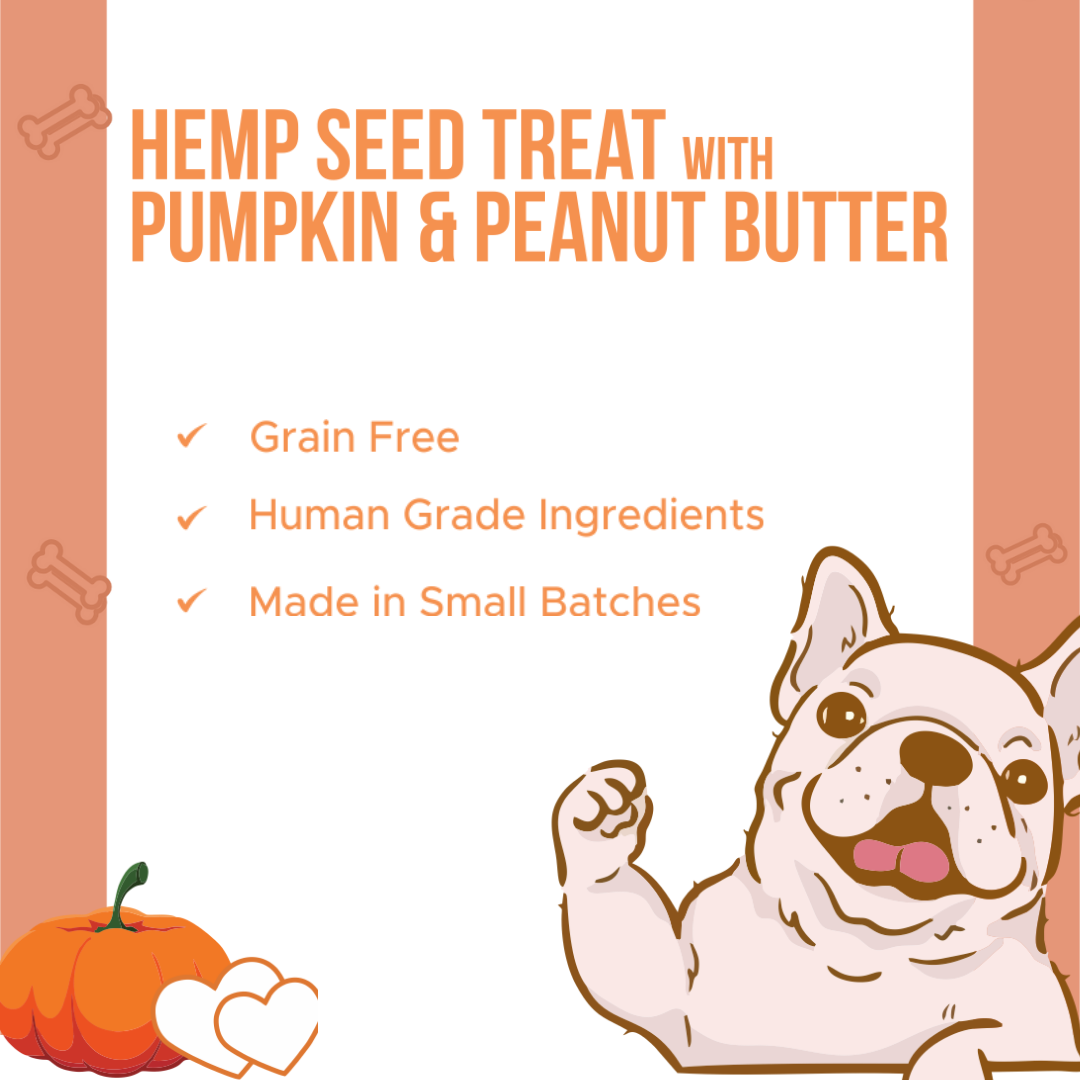 Hemp Pumpkin Treat (100g) - Pet
