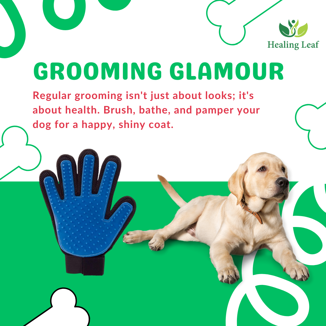 Combo of three (Hand Glove, Wooden brush & Shampoo Brush )