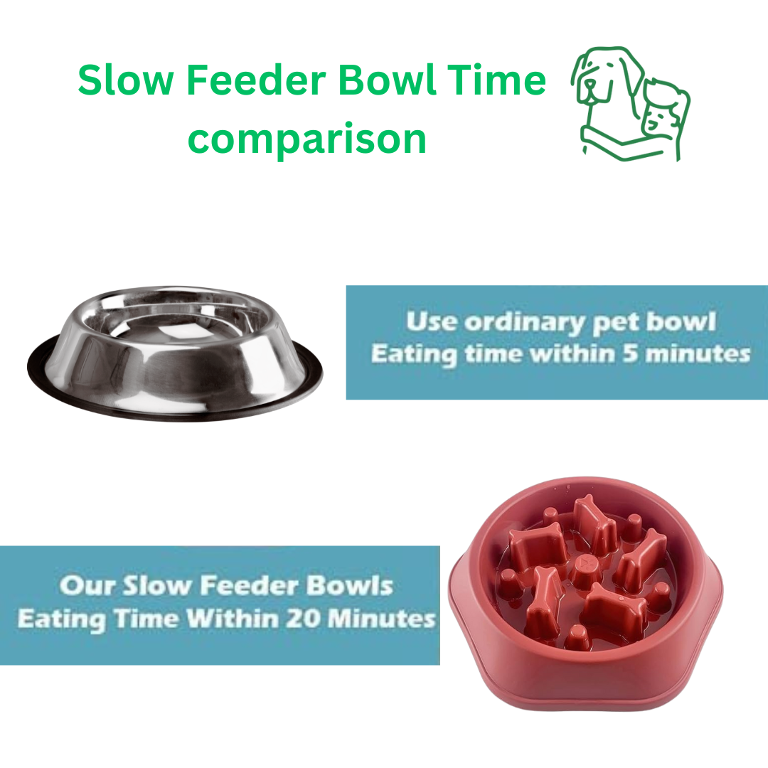 Slow feeding Bowl