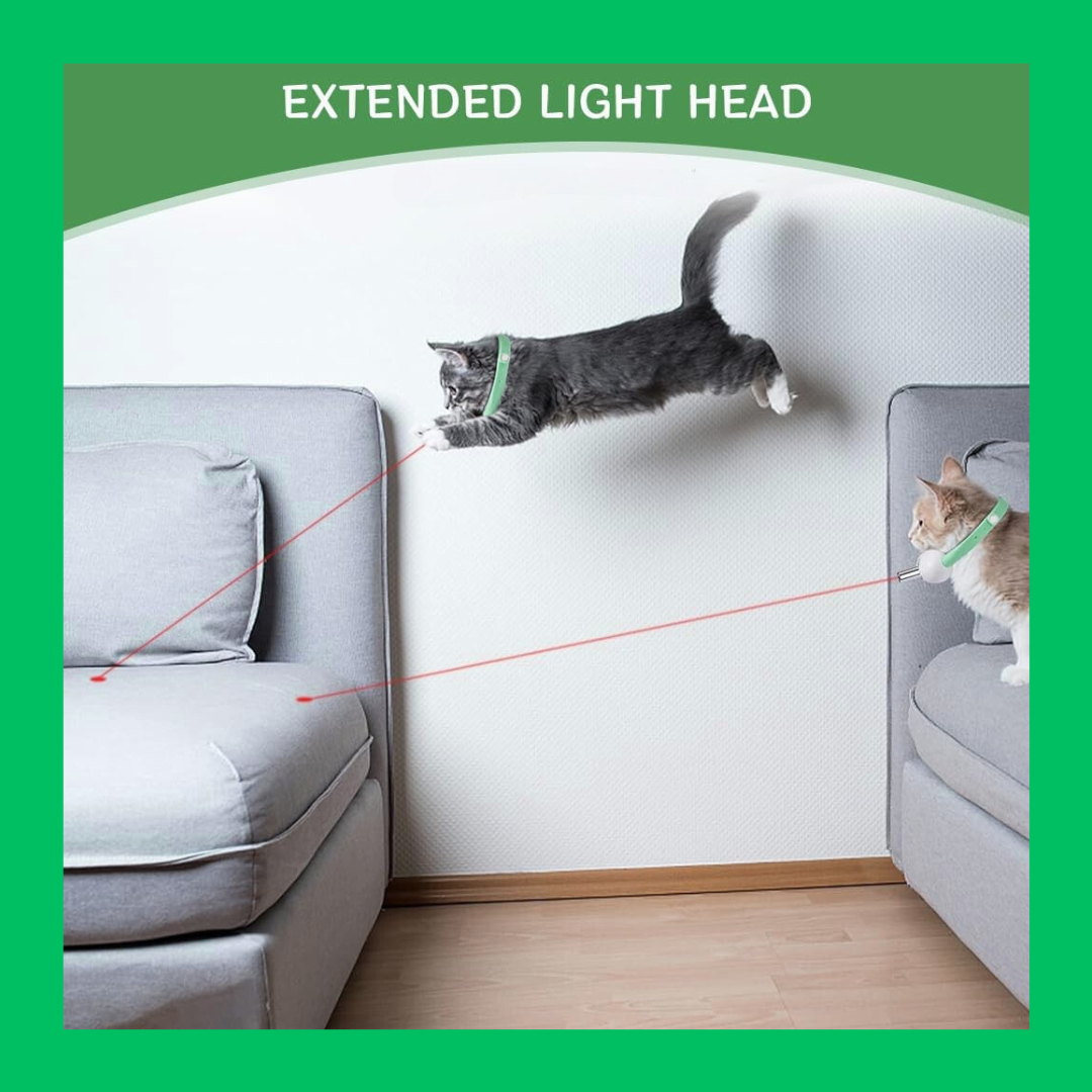 Cat laser collar