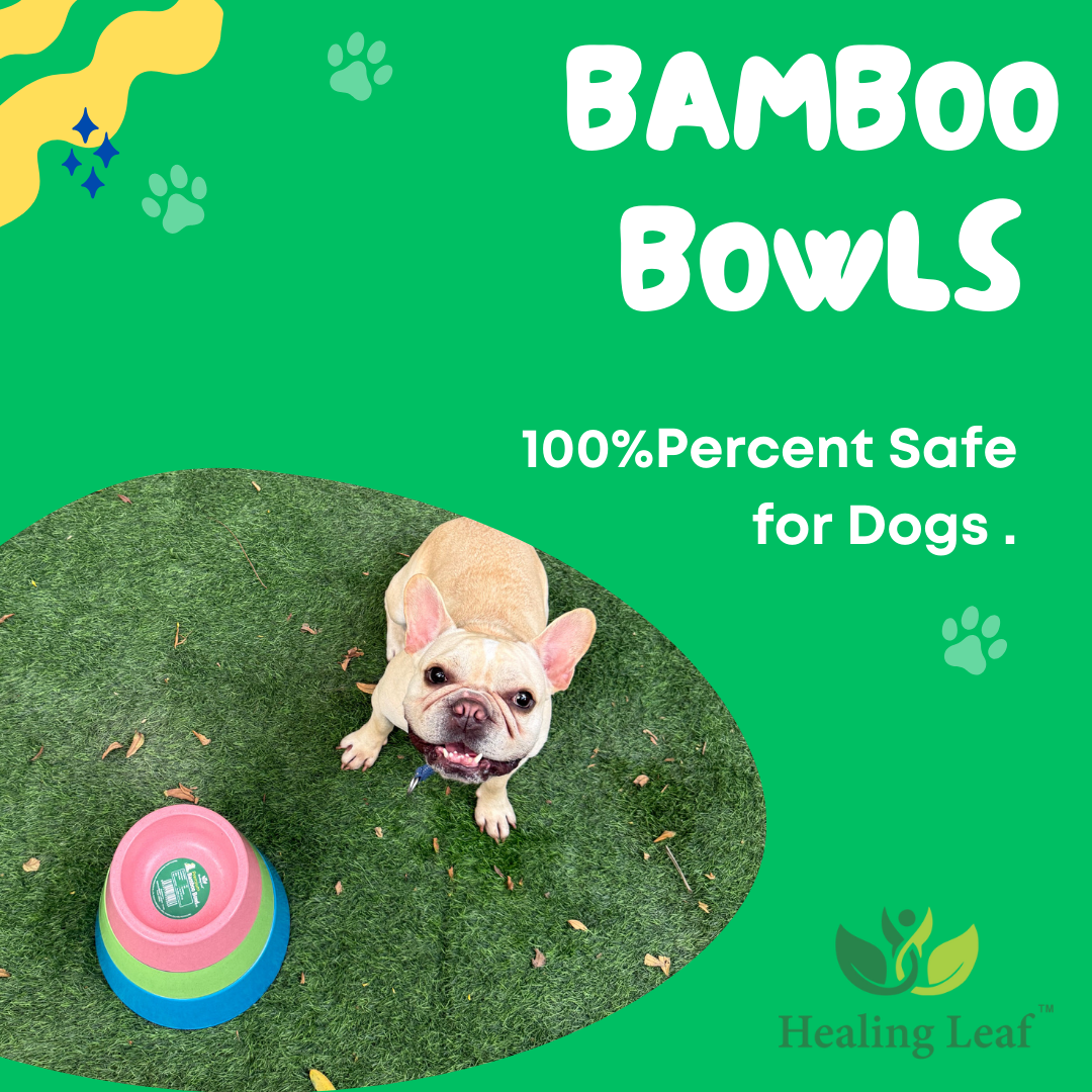 Eco-friendly Dual Bamboo Bowl For dogs and Cats