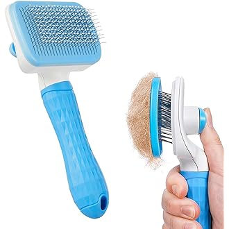 Slicker Brush
