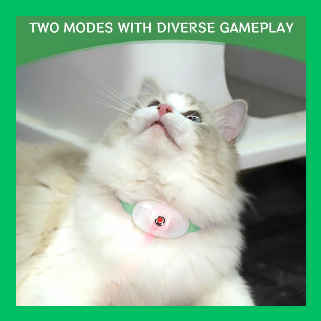 Cat laser collar