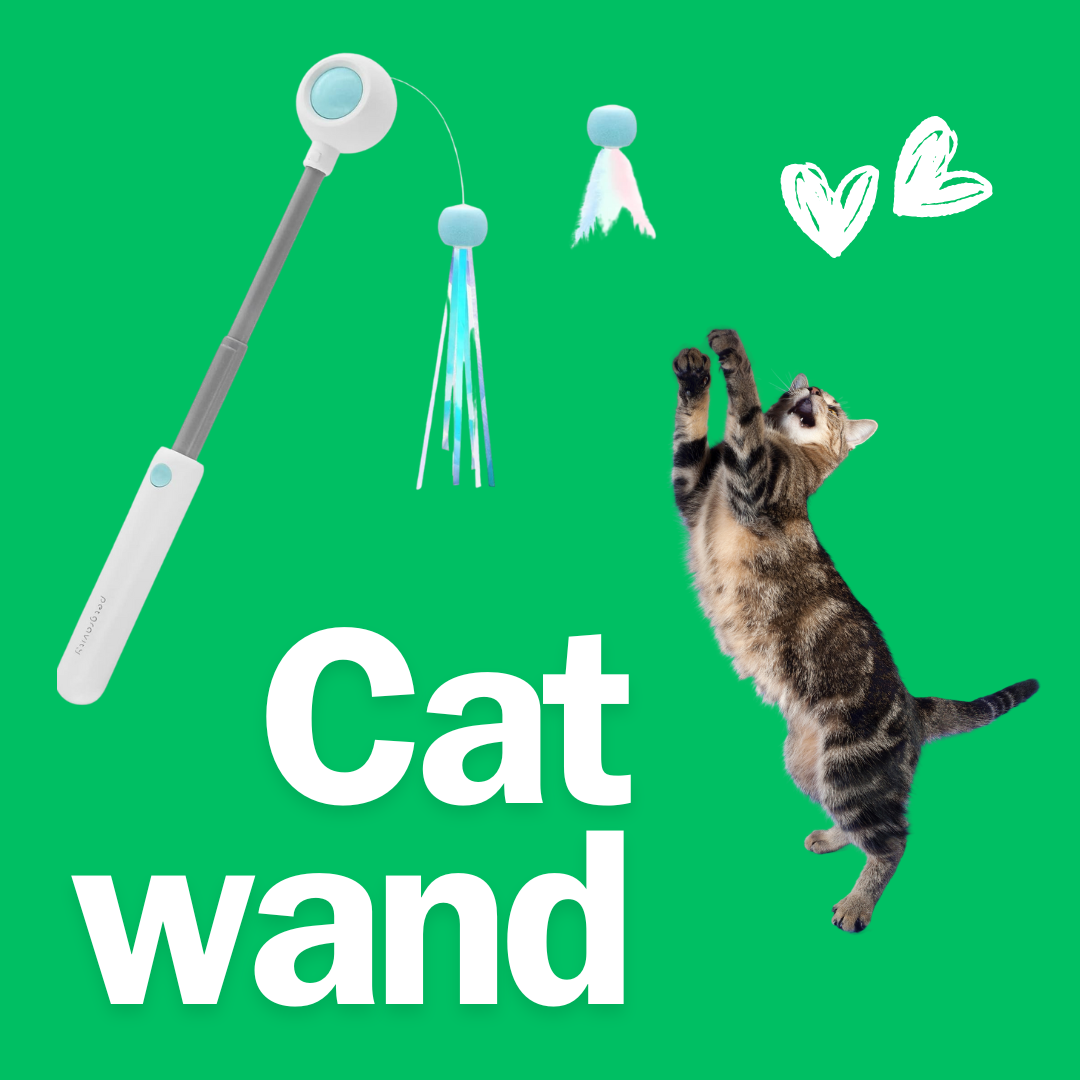 Healing Leaf cat teaser wand