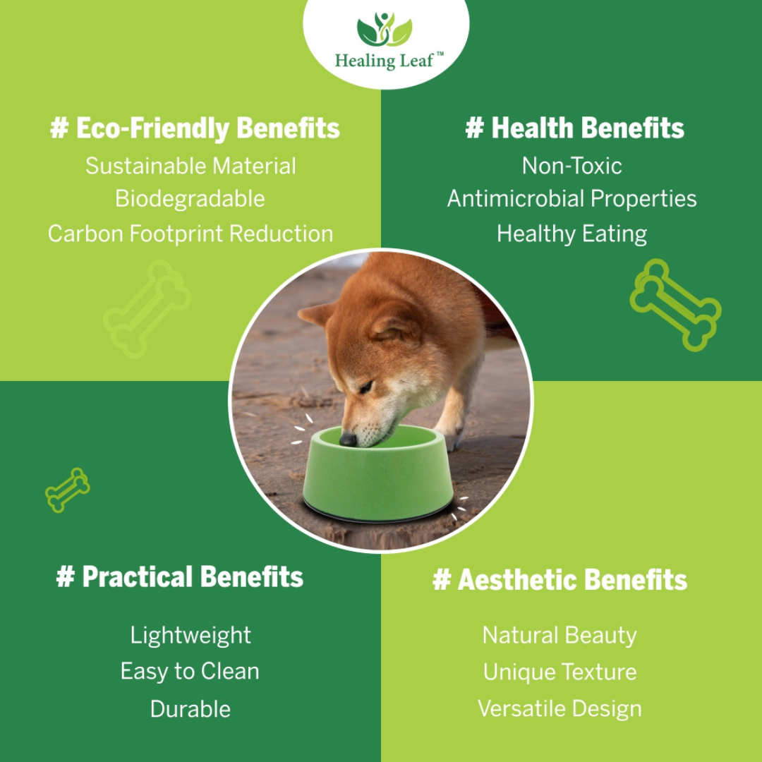 Eco-friendly Dual Bamboo Bowl For dogs and Cats
