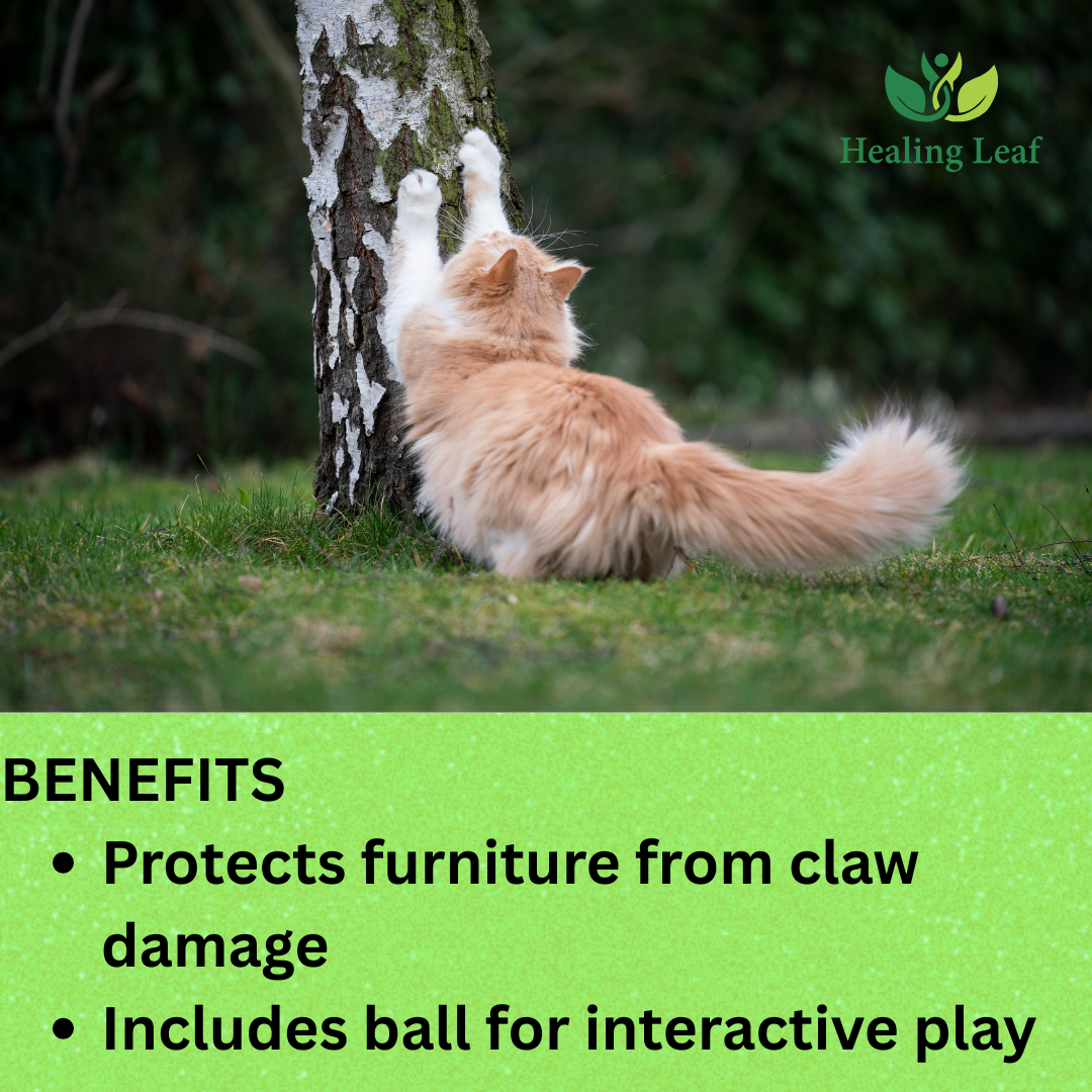 Healing Leaf's Cat Scratcher Cardboard 2 in 1 Reversible Scratching Pad Recyclable Corrugated Scratch Toy with Wave Shape (Bed Shape Scratching Pad)