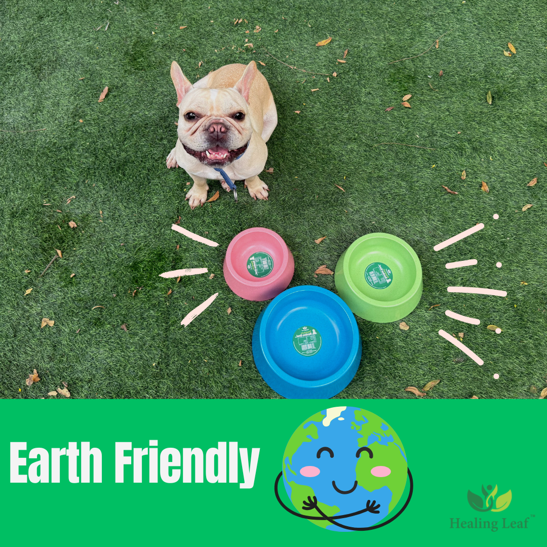 Eco-friendly Dual Bamboo Bowl For dogs and Cats