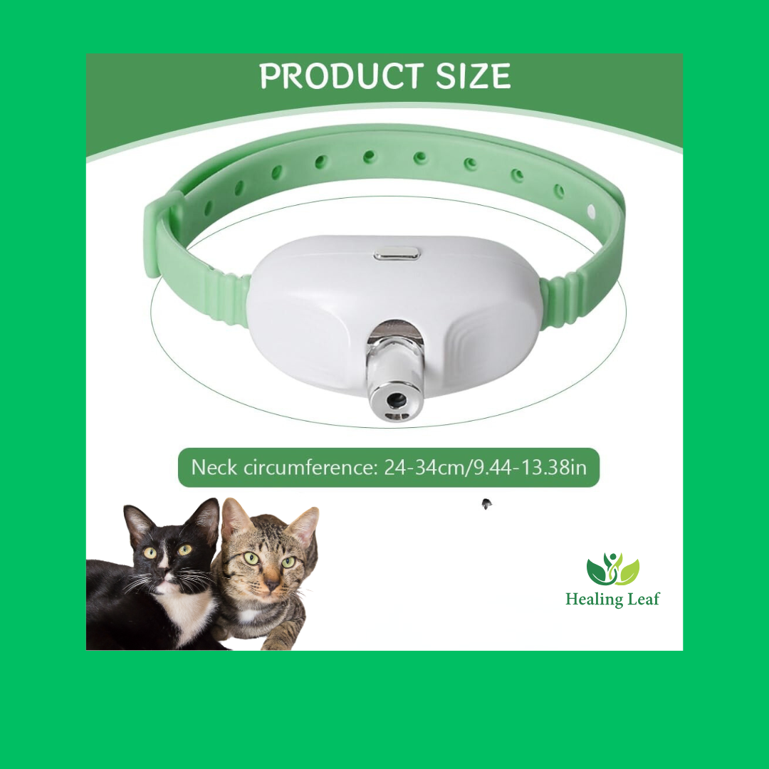 Cat laser collar