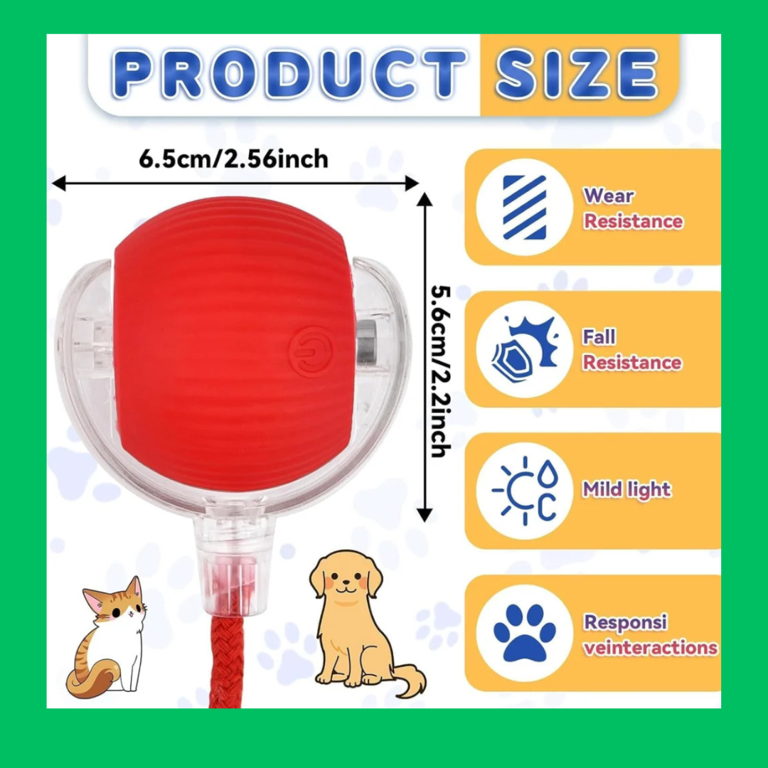 Combo of four ( slicker bush , wave scratching mat, Interactive ball and Cat dual bowl