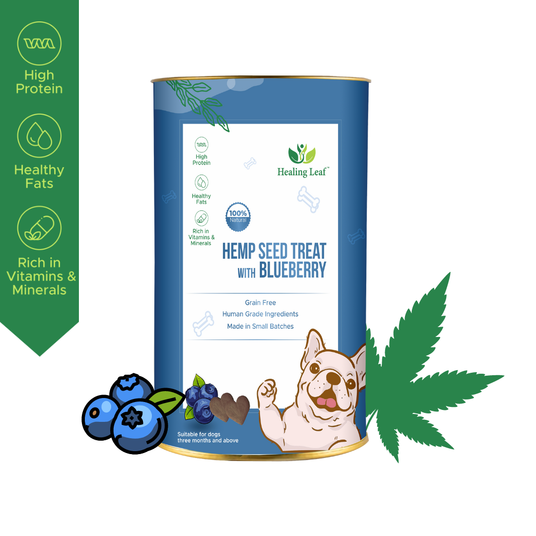 Hemp Blueberry Treat (100g) - Pet