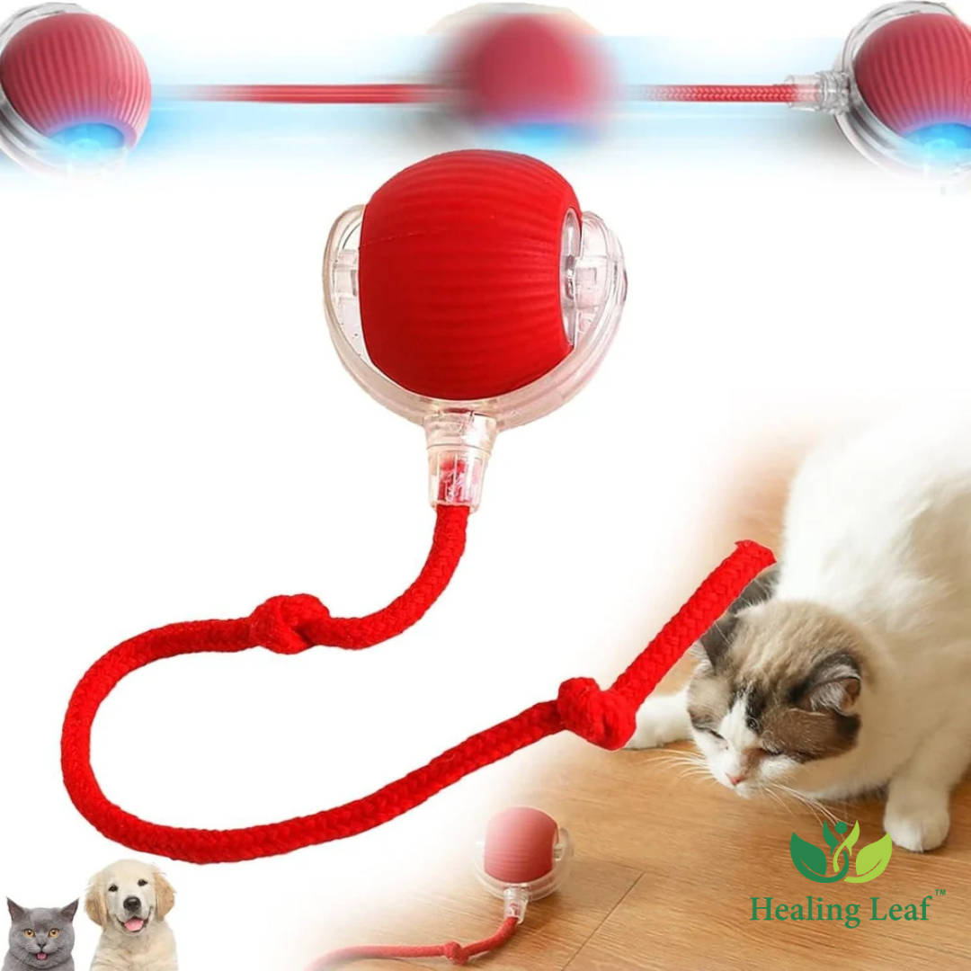 Automatic Rope Toy with thread