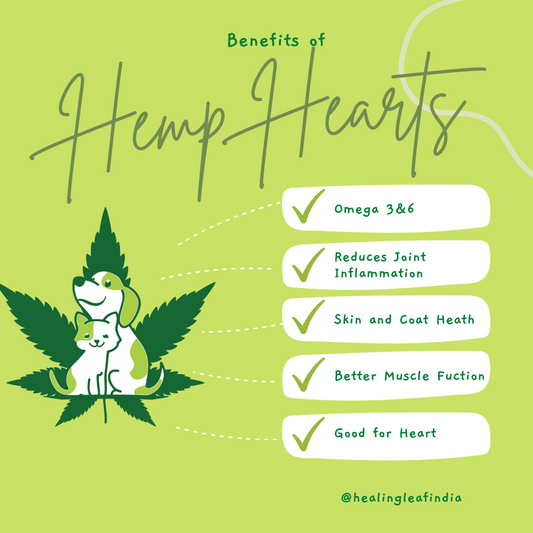 Hemp Hearts (100g) - Pets