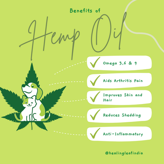 Hemp Protein Power and 30ml Hemp oil for Dogs and Cats (Pet)