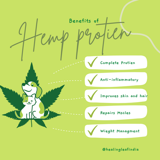Hemp Protein Powder(100g) - Pets
