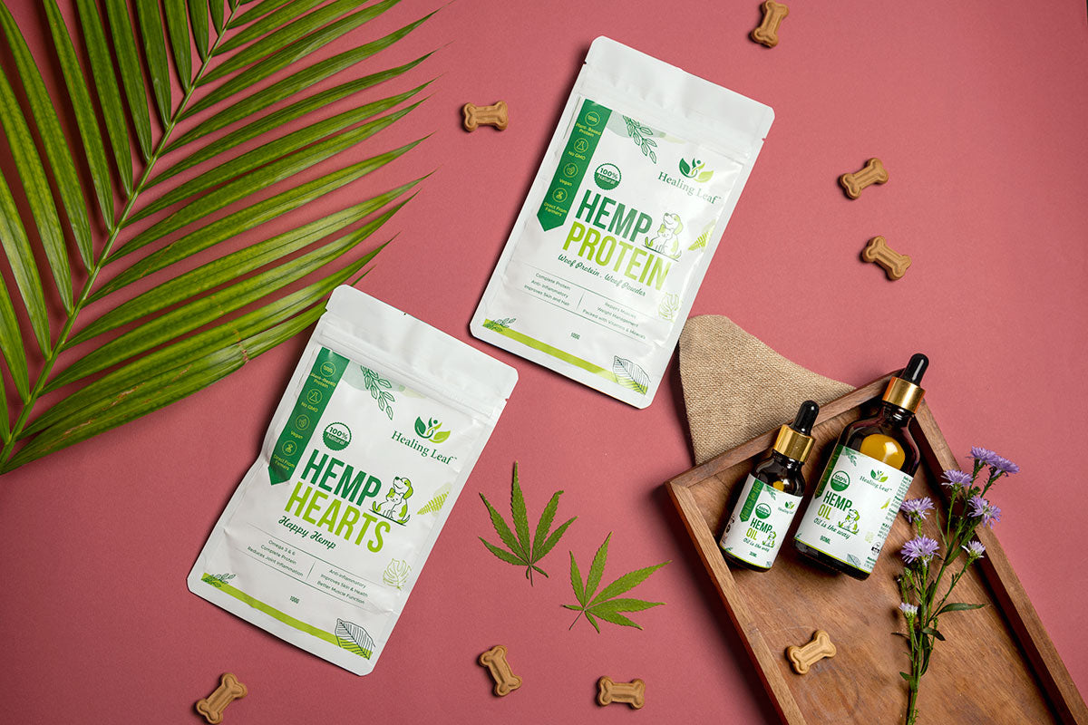 Hemp Protein Power and 30ml Hemp oil for Dogs and Cats (Pet)
