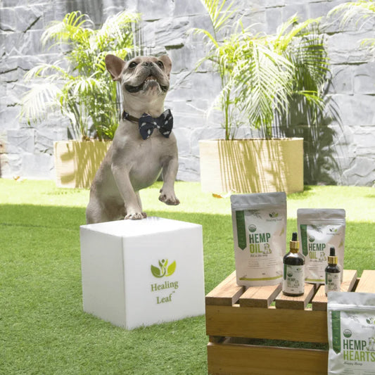 Hemp & Pets