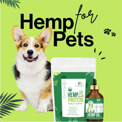 Hemp for Pets
