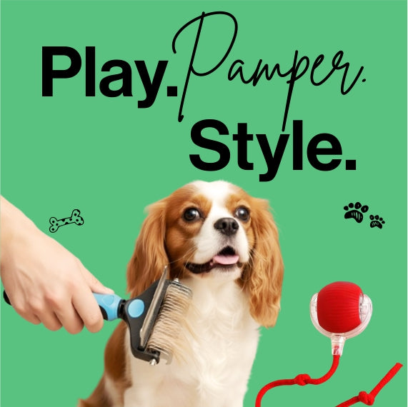 Play. Pamper. Style.