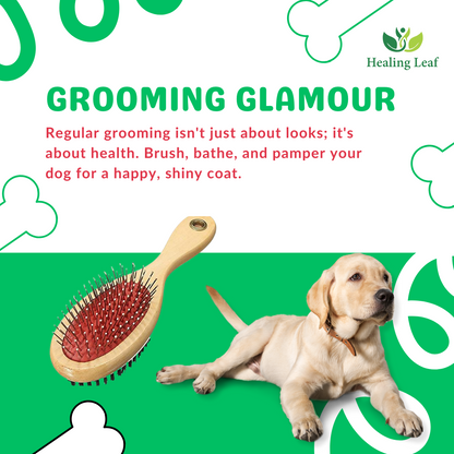 Combo of three (Hand Glove, Wooden brush & Shampoo Brush )