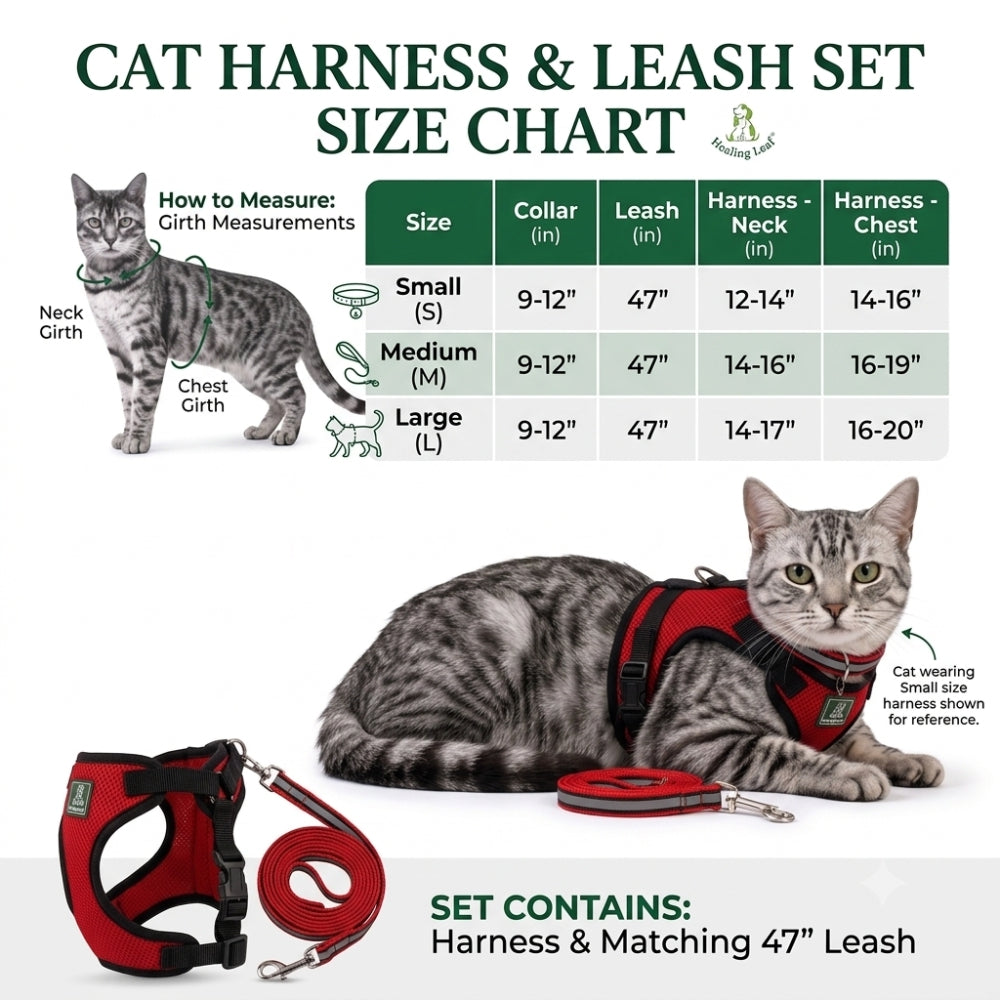Cat body reflective Harness ( Set of 3 ) Collar ,Leash and Harness