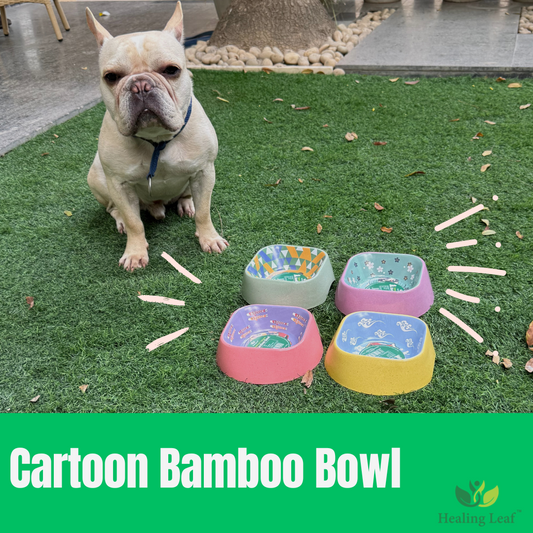 Eco-friendly Cartoon Bamboo Bowl