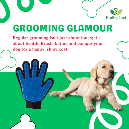 combo of 4 (slicker brush gloves shampoo and rubber brush )