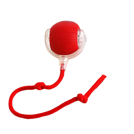 Automatic Rope Toy with thread