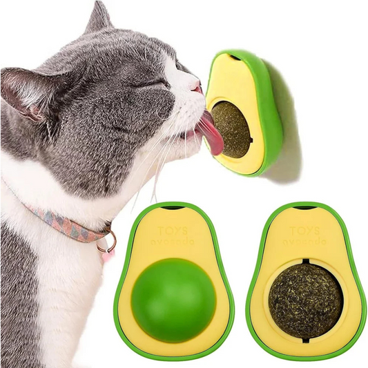 Avacado Cat Nip